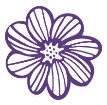 https://www.frogmoreflowers.com/wp-content/uploads/2023/05/daisy-flower-purple.png