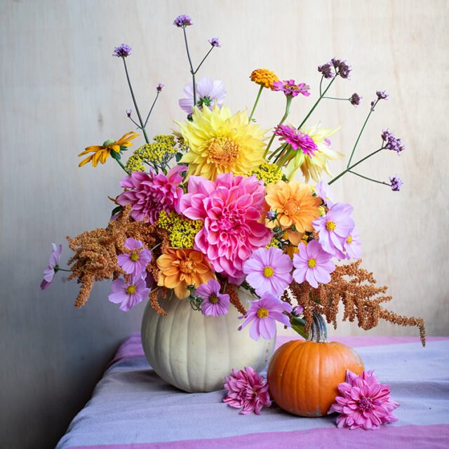 https://www.frogmoreflowers.com/wp-content/uploads/2024/07/pumpkin-bouquet-ss-640x640.jpg